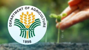 DEPARTMENT OF AGRICULTURE "Department of Agriculture supporting national development through sustainable farming and food security"