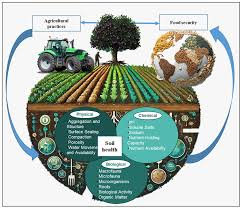 DEPARTMENT OF AGRICULTURE "Visual representation of how the Department of Agriculture strengthens national food systems"